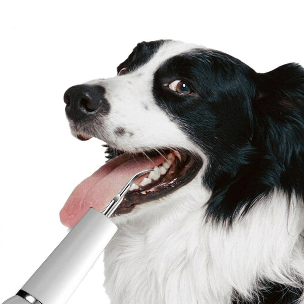 Dog Dental Cleaner Ultrasonic Scaler LED Plaque Tool Kit