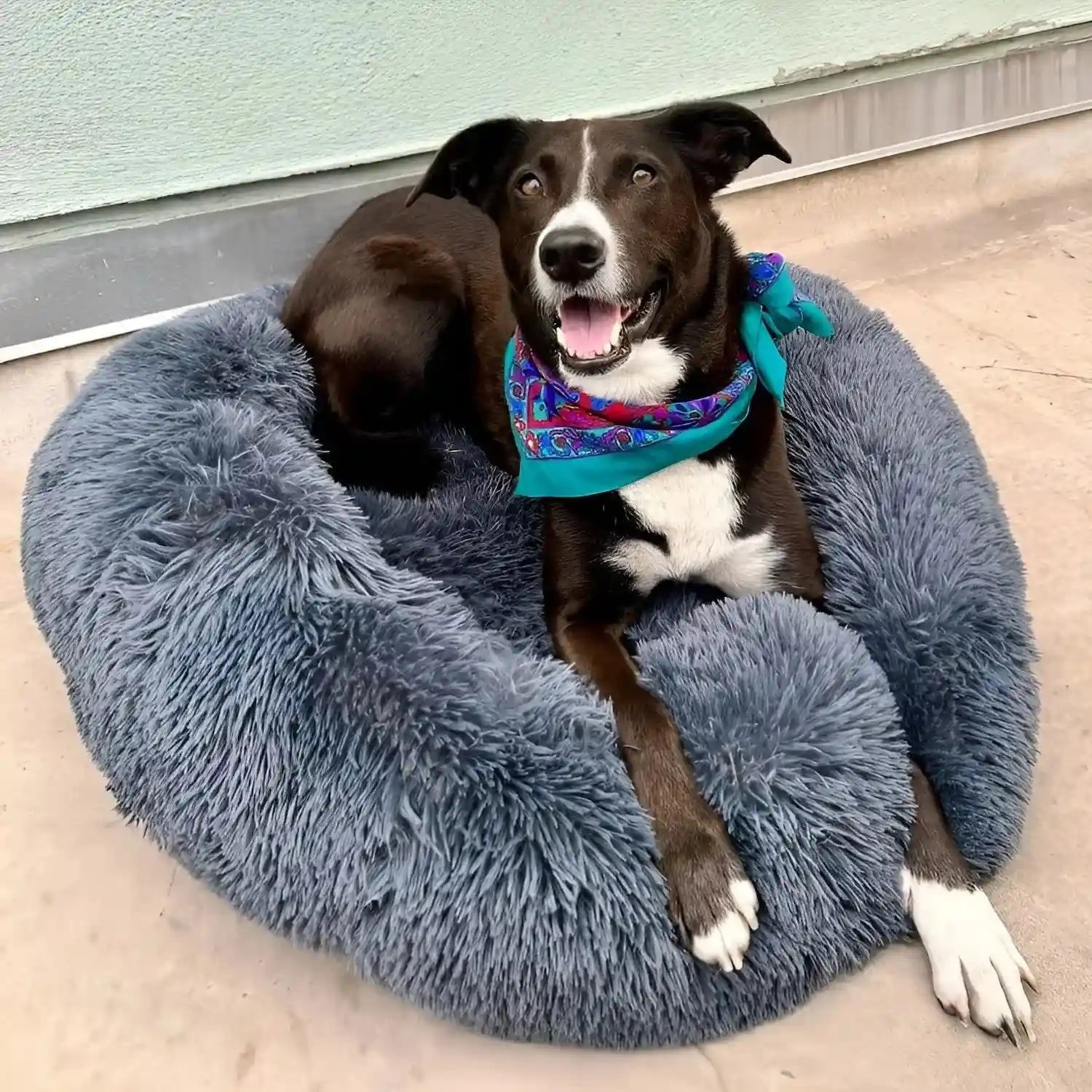 Anxiety Relieving Pet Bed Dogs and Cats Soft Plush Comfort - Image 2