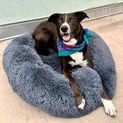 Anxiety Relieving Pet Bed Dogs and Cats Soft Plush Comfort - Image 2
