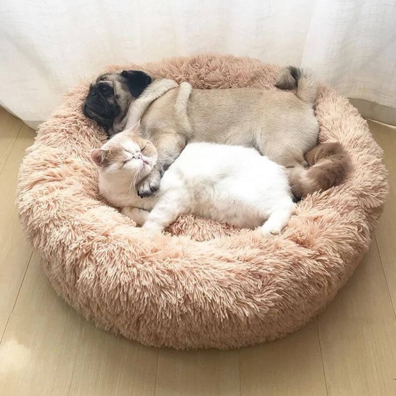 Cat Bed Soft Plush Round Pet Bed Comfort and Calm - Image 1