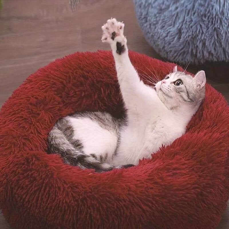 Cat Bed Soft Plush Round Pet Bed Comfort and Calm - Image 6