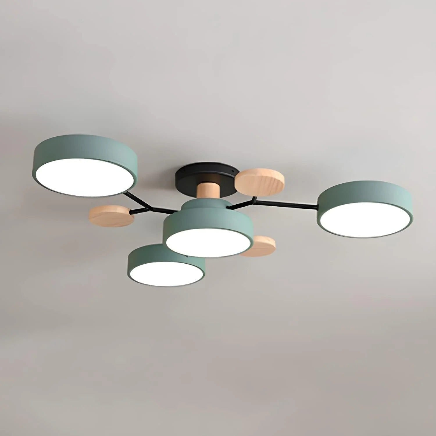 Contemporary Ceiling Round Iron LED and Wood Accents - Image 21