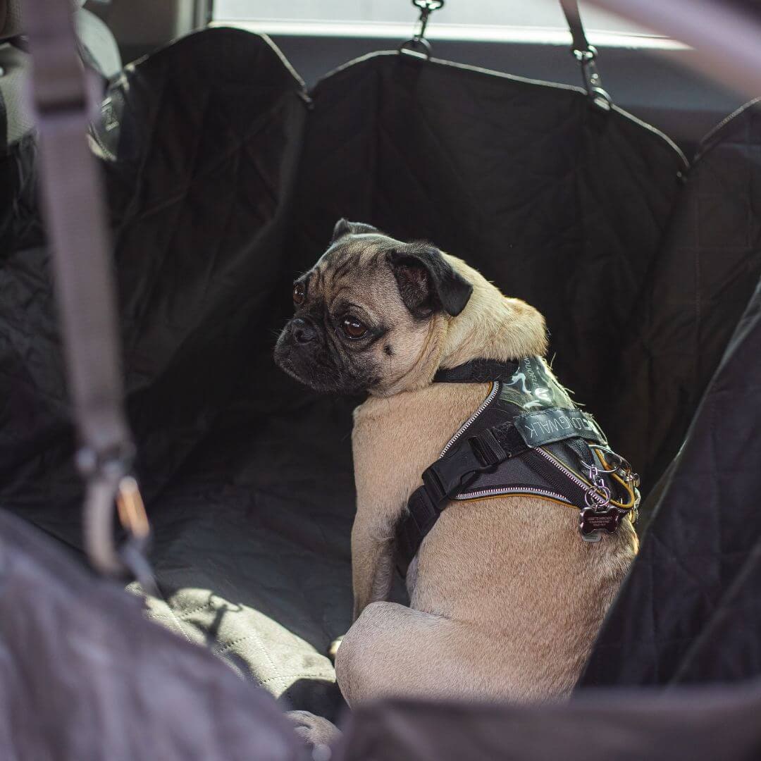 Dog Car Seat Cover Pet Protector Backseat Travel - Image 2