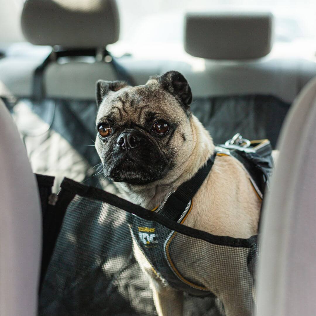 Dog Car Seat Cover Pet Protector Backseat Travel - Image 5