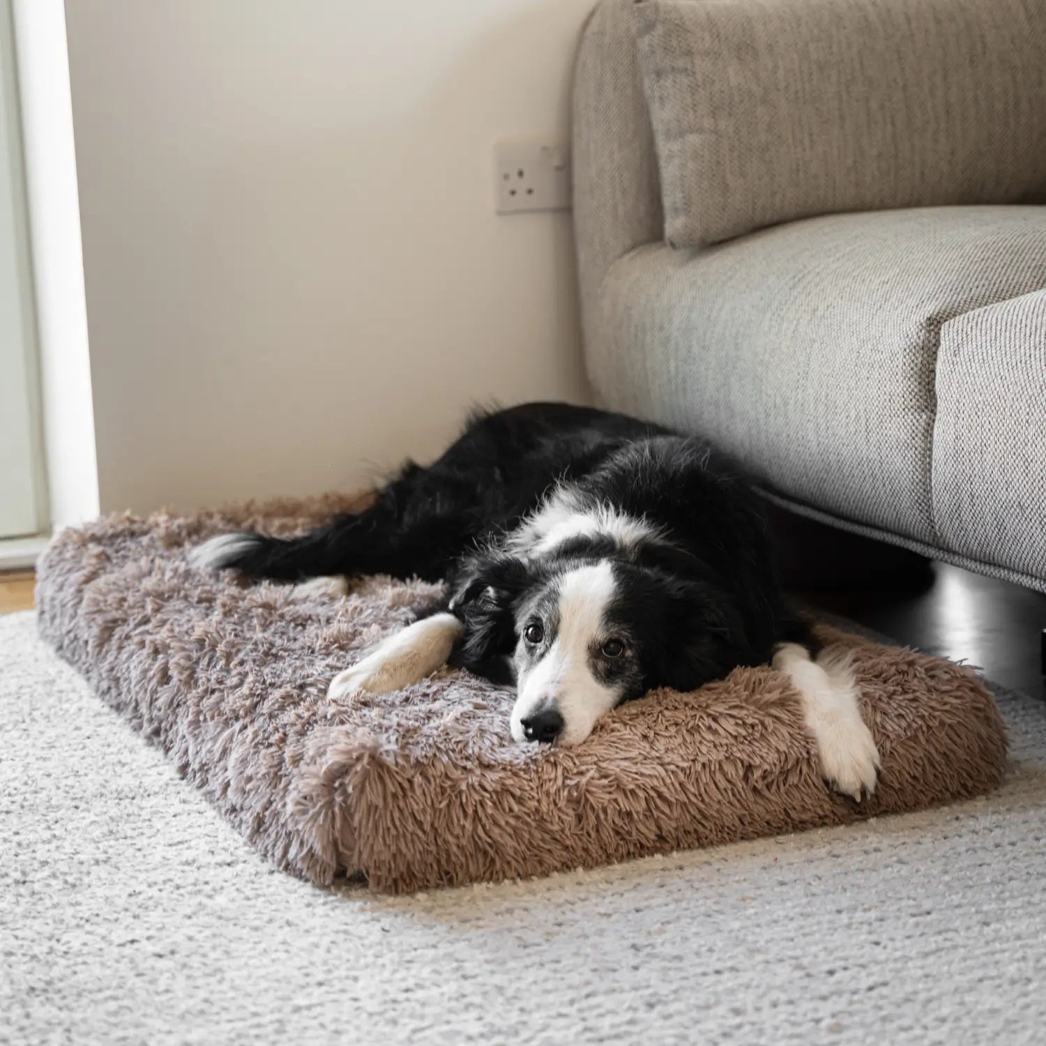 Dog Pillow Comfort and Support Soft Plush Bed - Image 3