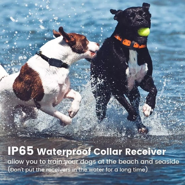 Electric Dog Training Collar Remote Control Safe Device - Image 2