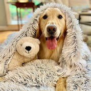 Fluffy Pet Blanket Soft and Cozy Comfort - Image 1