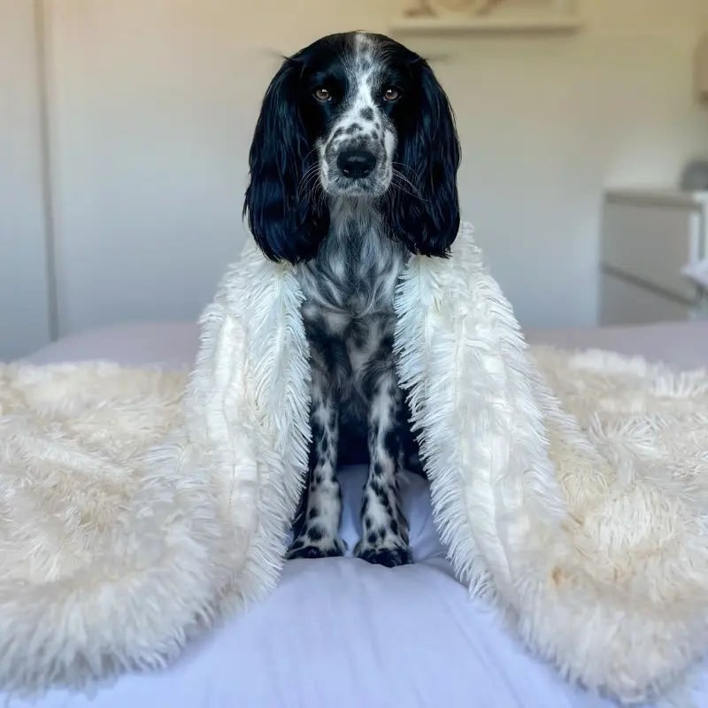 Fluffy Pet Blanket Soft and Cozy Comfort - Image 4