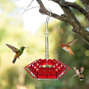Hummingbird Feeder Ant Moat Outdoor Hanging Nectar Dispenser - Image 1