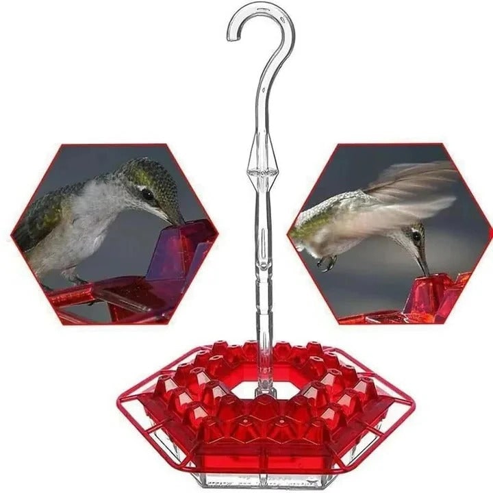 Hummingbird Feeder Ant Moat Outdoor Hanging Nectar Dispenser - Image 7