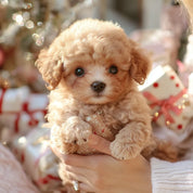 Interactive Plush Dog Toy Realistic Movements & Seniors - Image 4