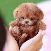 Interactive Robotic Puppy Interactive Dog Toy Fun Companion - Image 3