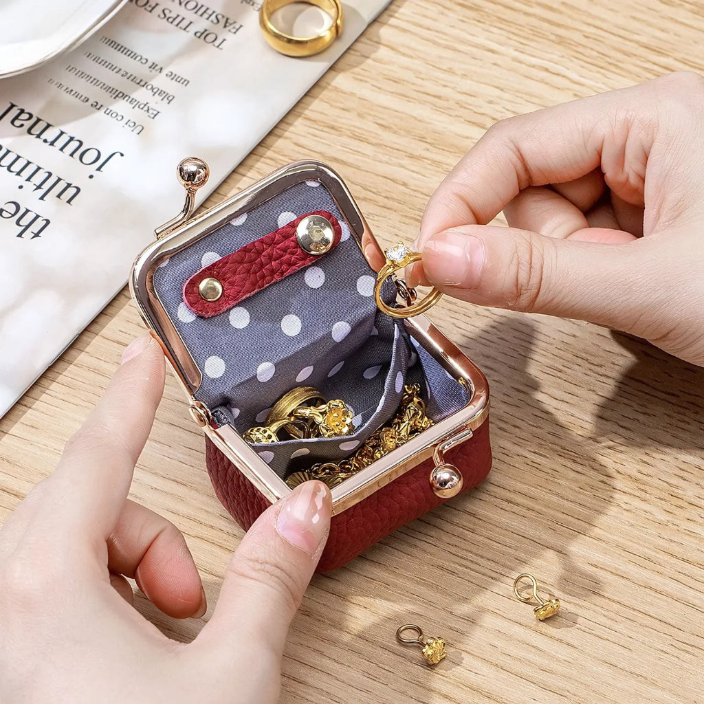 Jewelry Organizer Case Polka Dot Lining Travel Storage