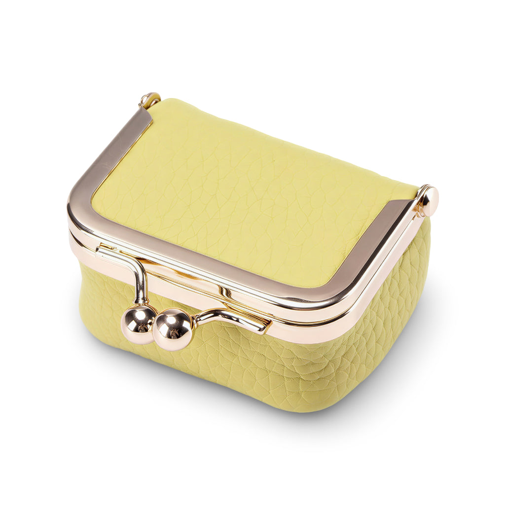 Jewelry Organizer Case Polka Dot Lining Travel Storage