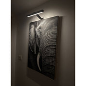 LED Picture Light Remote Control Dimmable Wall Lamp Art Display - Image 2