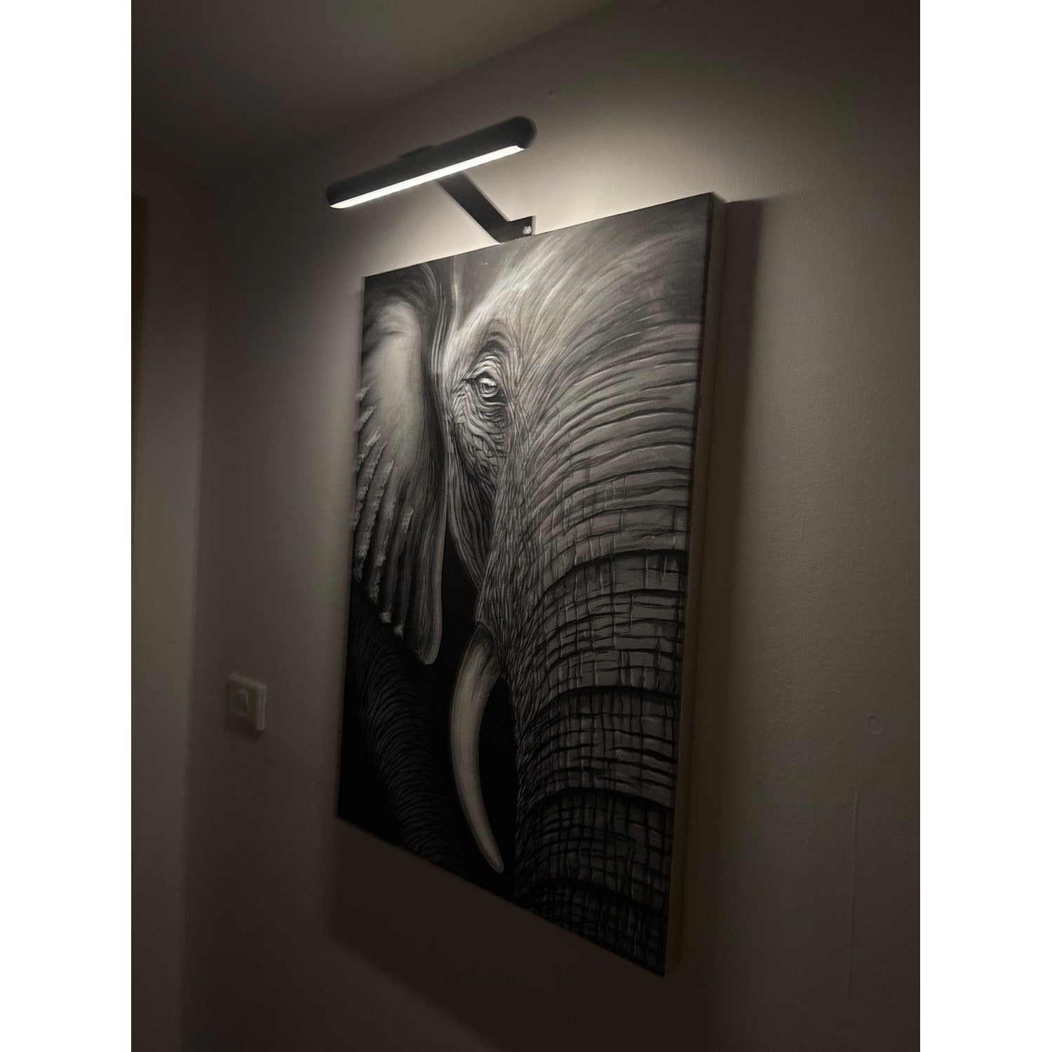 LED Picture Light Remote Control Dimmable Wall Lamp Art Display - Image 2