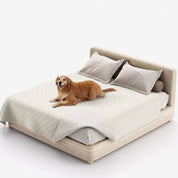 Pet Blanket Furniture Protection Design Premium Quality - Image 6