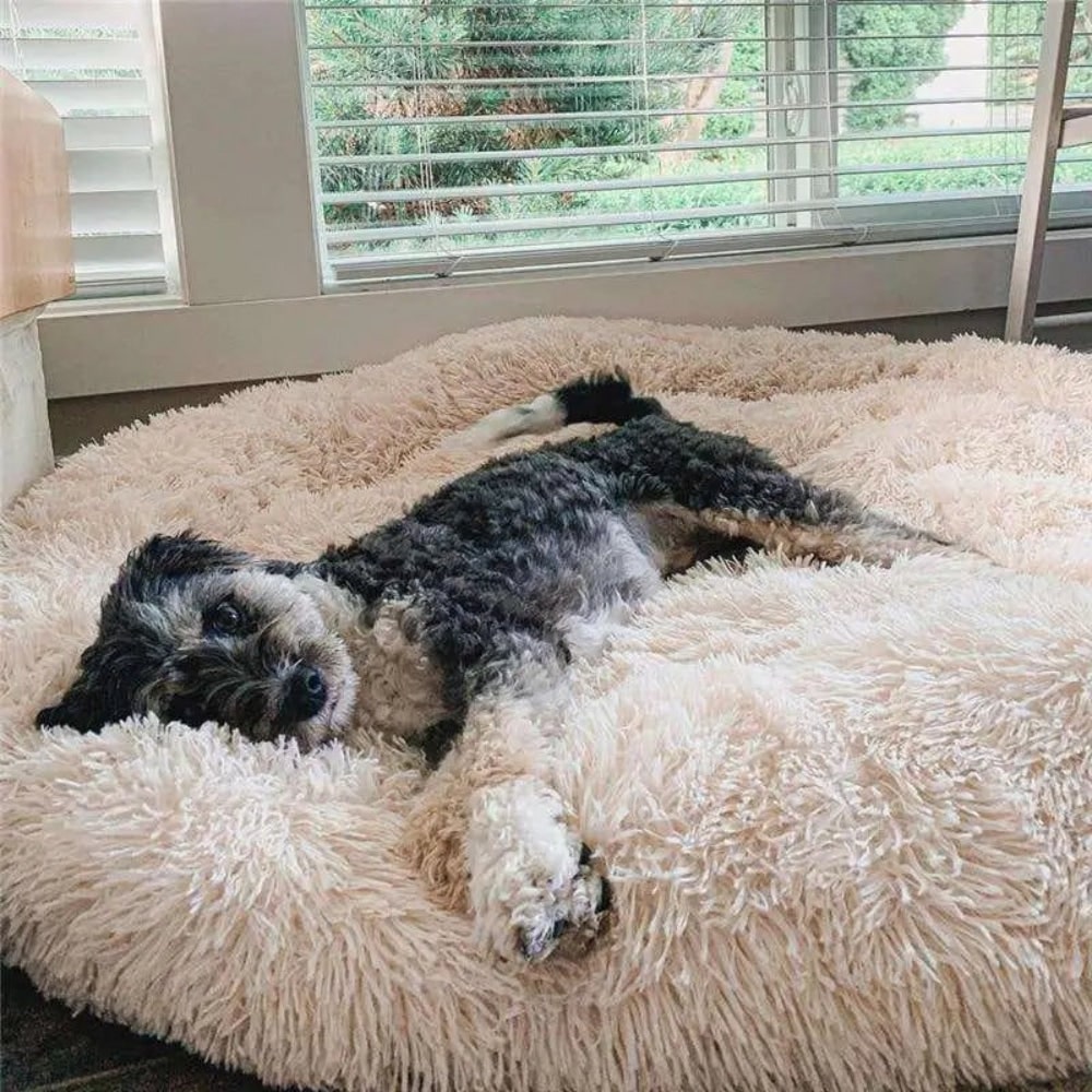 Plush Dog Bed Soft Dog Bed Cozy Round Design - Image 2