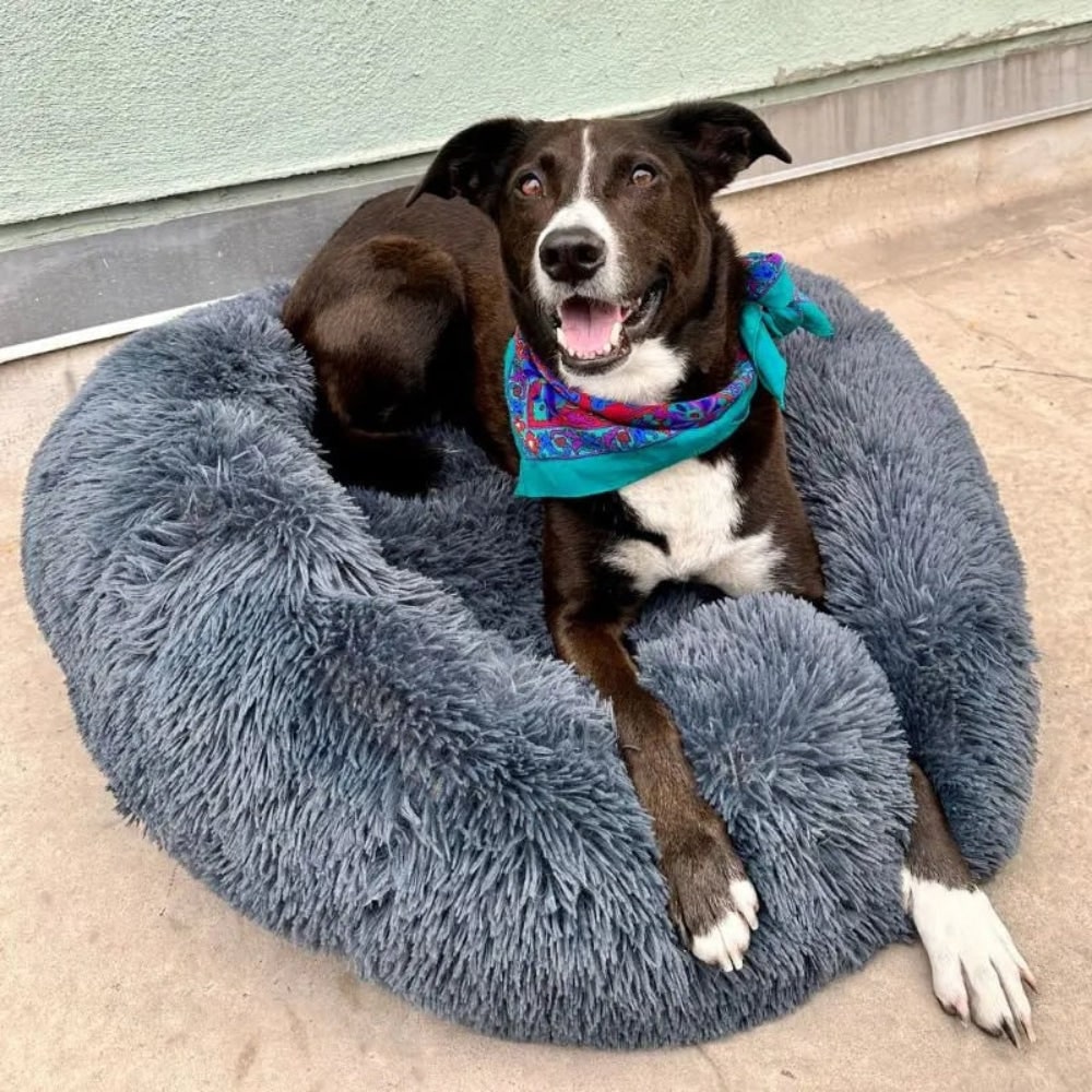 Plush Dog Bed Soft Dog Bed Cozy Round Design - Image 3
