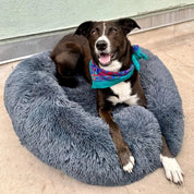 Plush Dog Bed Soft Dog Bed Cozy Round Design - Image 3