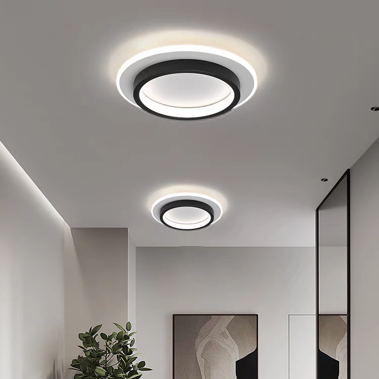 Round Ceiling Modern Metal and Acrylic Design - Image 1