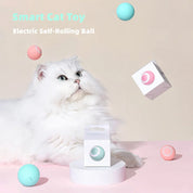 Smart Cat Toy Electric Self-Rolling Active Playtime Fun - Image 1