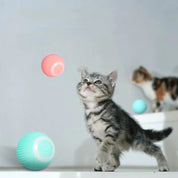 Smart Cat Toy Electric Self-Rolling Active Playtime Fun - Image 11