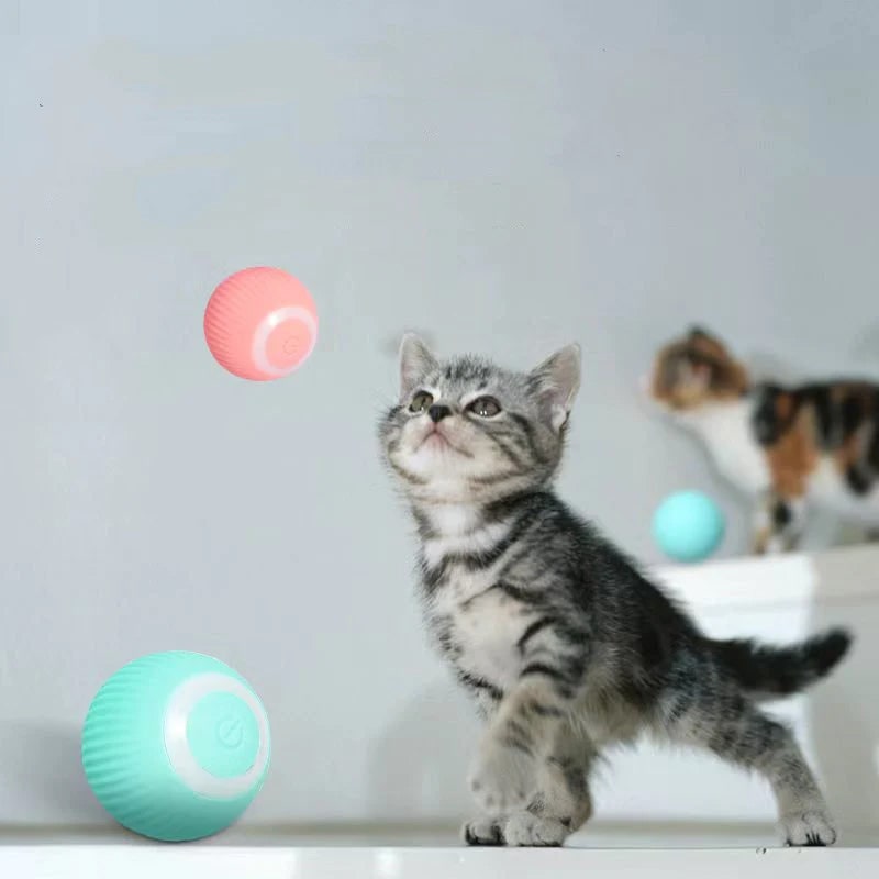Smart Cat Toy Electric Self-Rolling Active Playtime Fun - Image 11