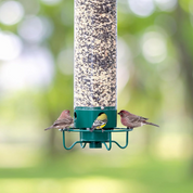 Squirrel Proof Bird Feeder Multiple Birds Durable Green Design - Image 6