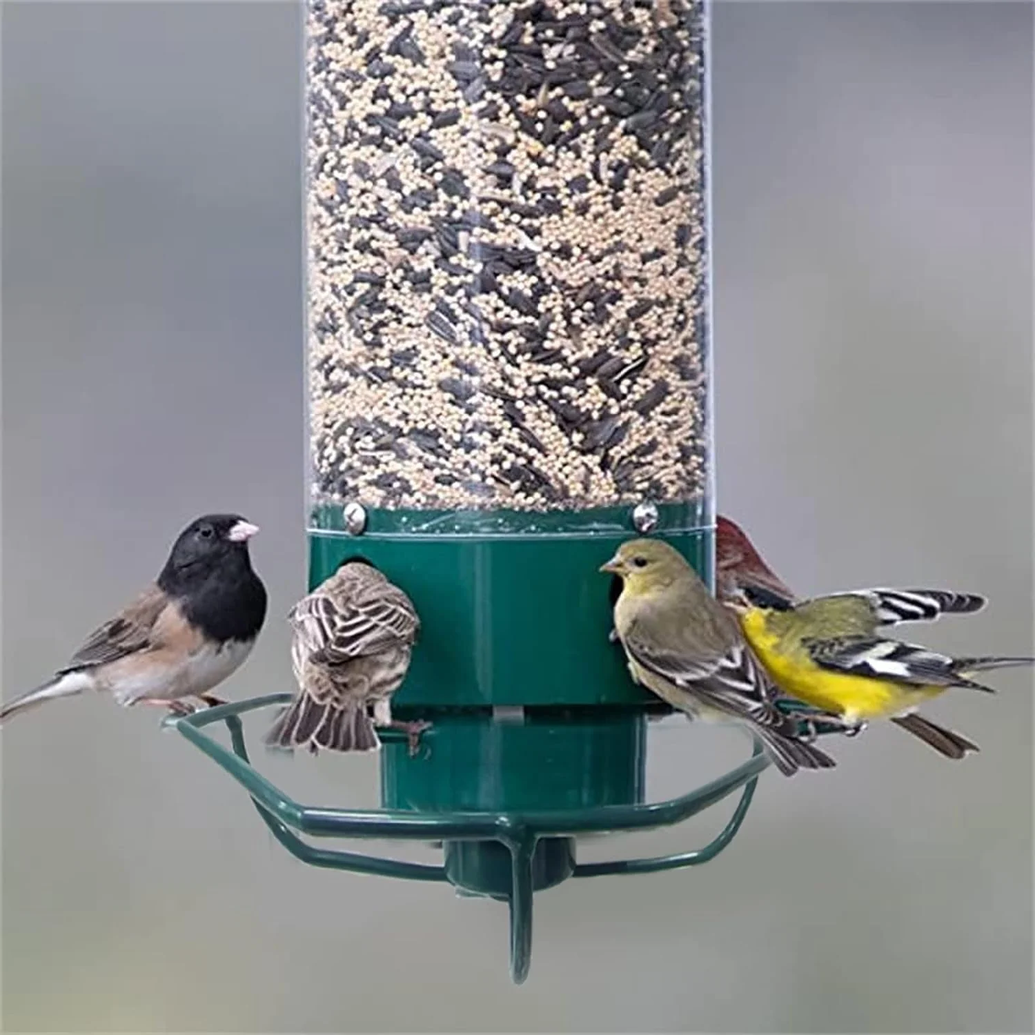 Squirrel Proof Bird Feeder Multiple Birds Durable Green Design - Image 7
