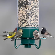 Squirrel Proof Hummingbird Feeder Outdoor Bird Feeding - Image 5