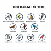 Squirrel Proof Hummingbird Feeder Outdoor Bird Feeding - Image 6