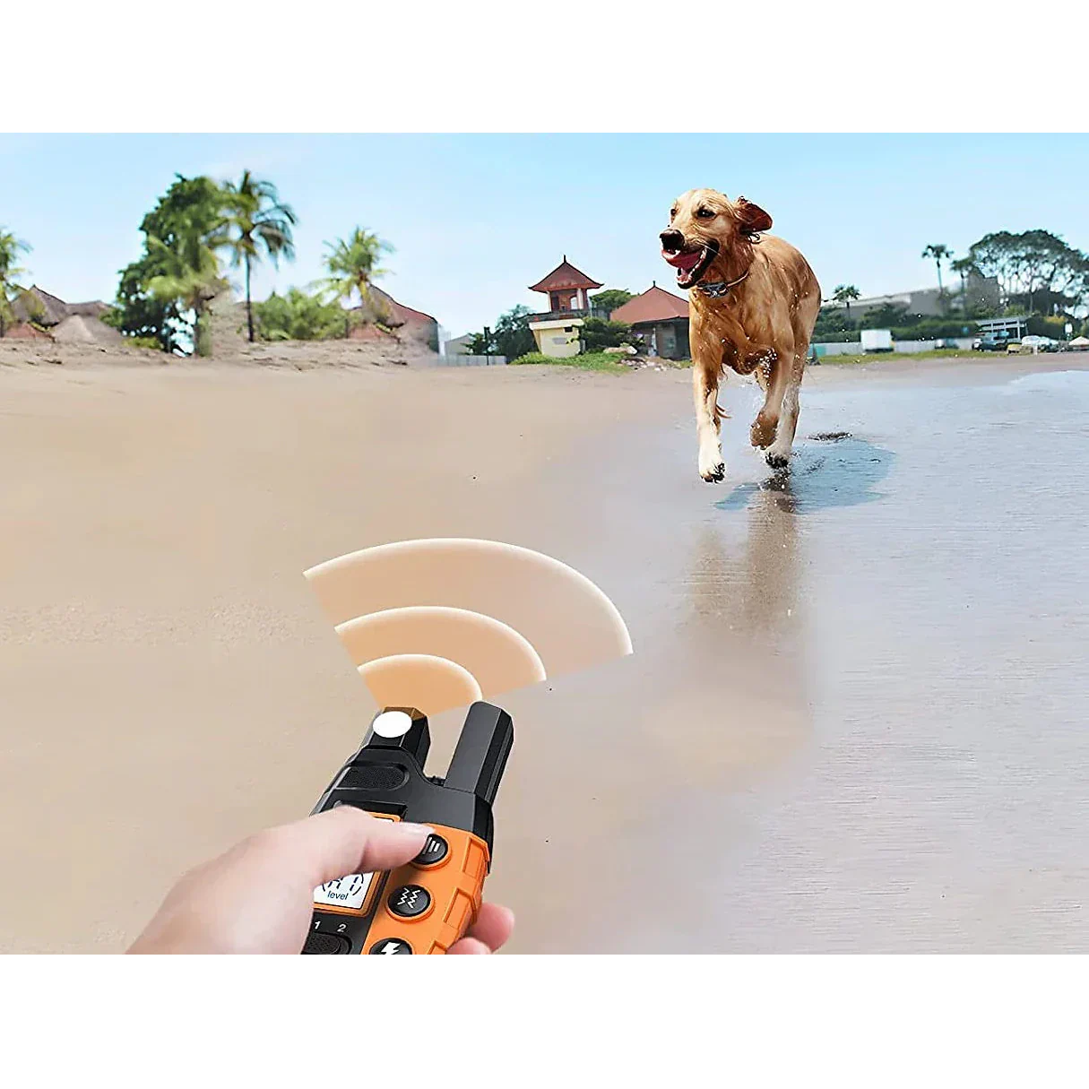 Training Collar Remote Rechargeable E-Collar - Image 7